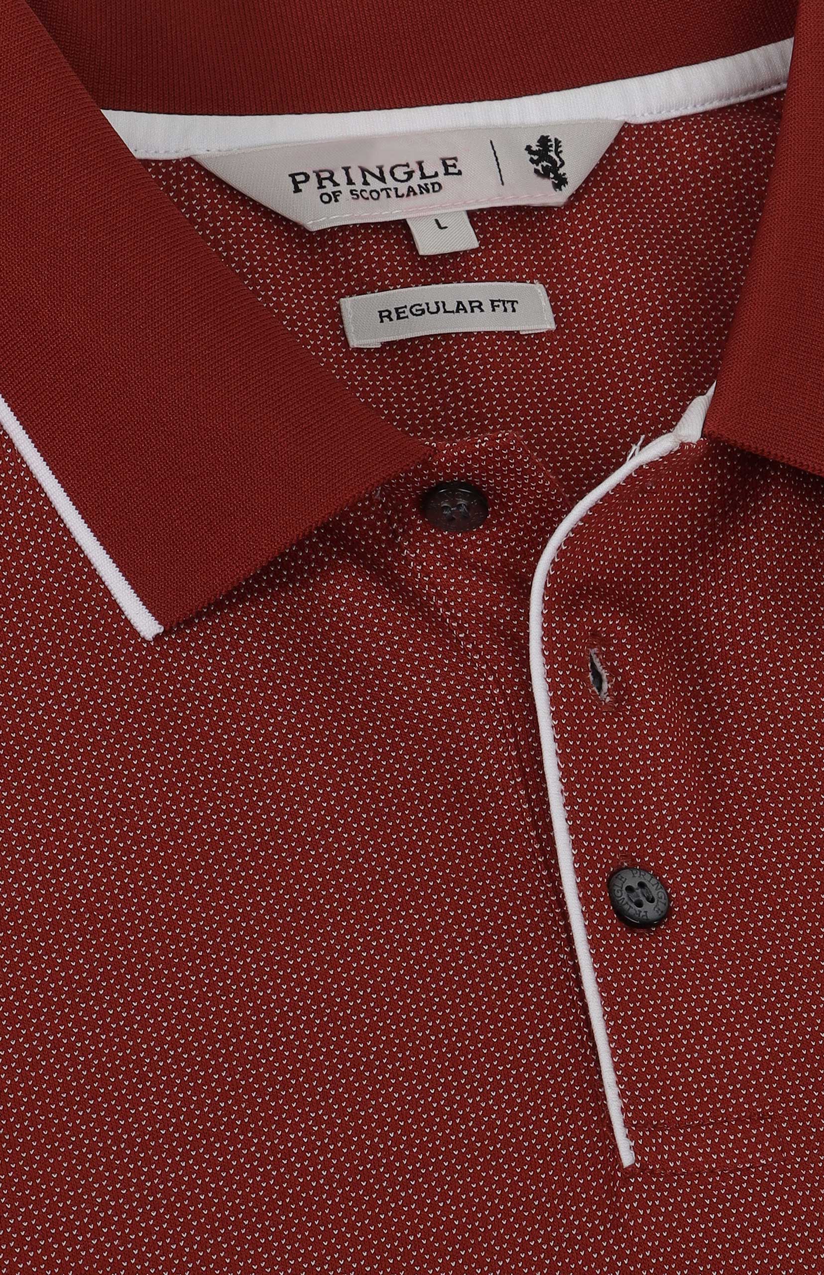 Hudson Golfer - Image 3